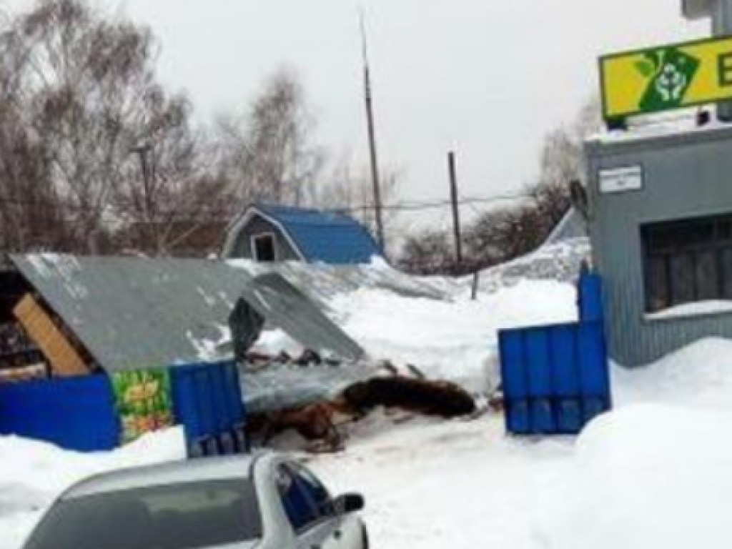 Навалило мокрого снега: в Кременчуге рухнул навес склада (ФОТО)