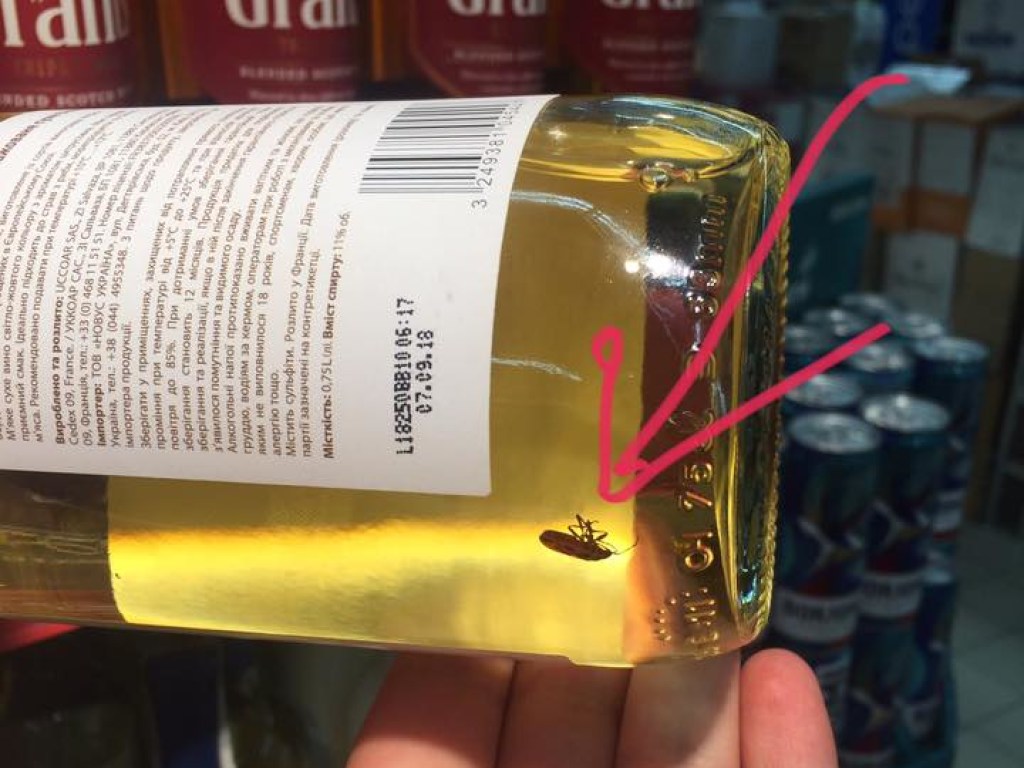 В столичном супермаркете нашли вино с тараканами (ФОТО)