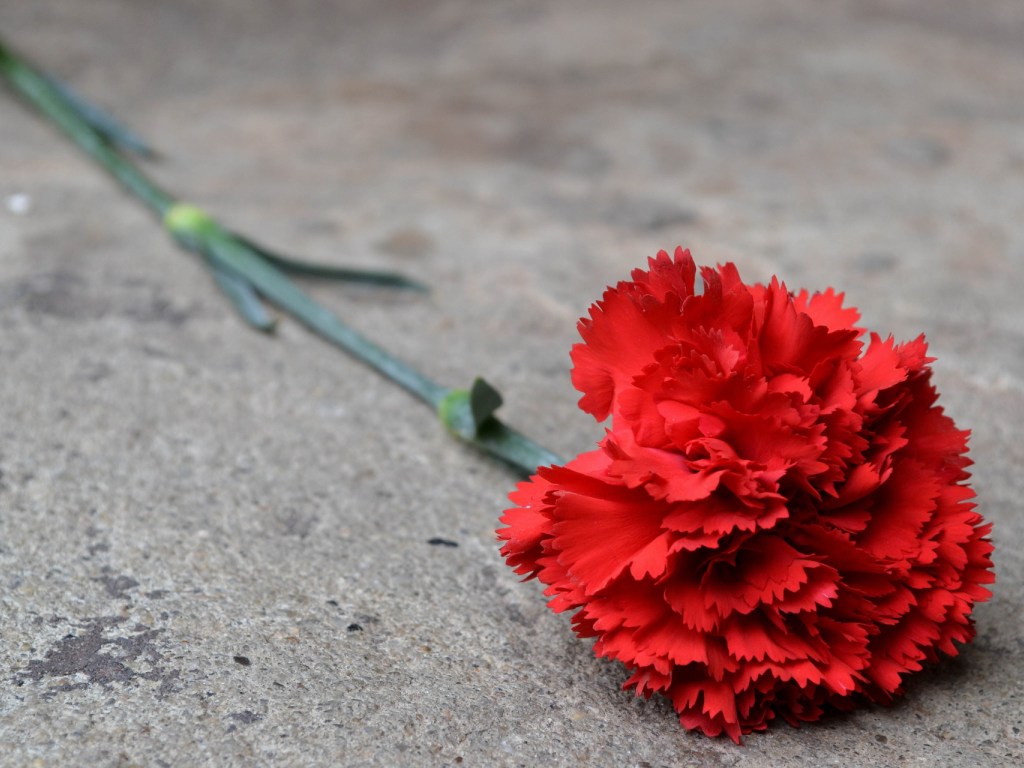 В Киевской области женщина торговала цветами, украденными с могил