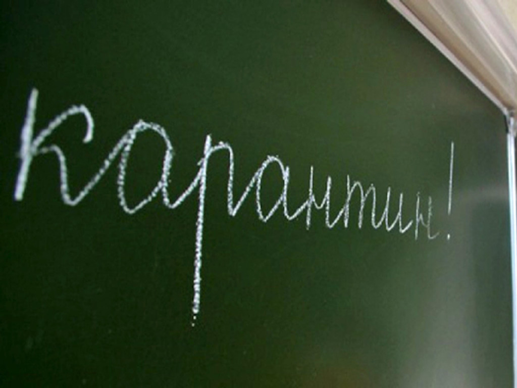 Вспышка гриппа в Запорожской области: На карантин закрыли десятки школ
