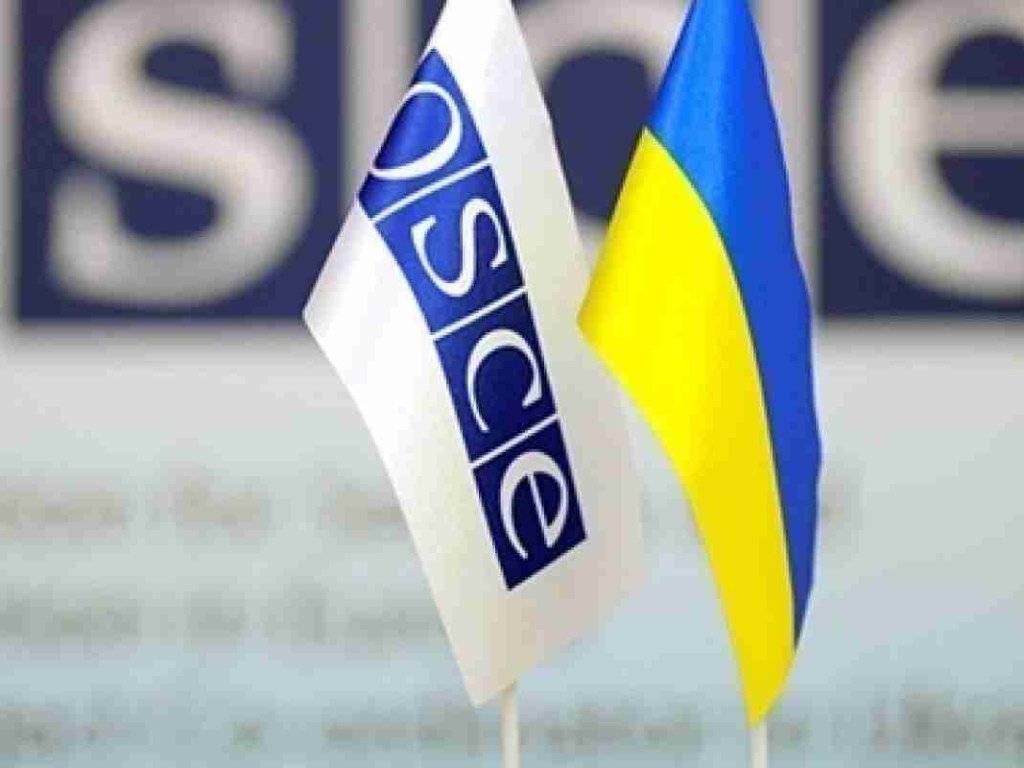 А. Якубин: «Запрет российских наблюдателей на выборах вобьёт кол в отношения Украины и ОБСЕ»