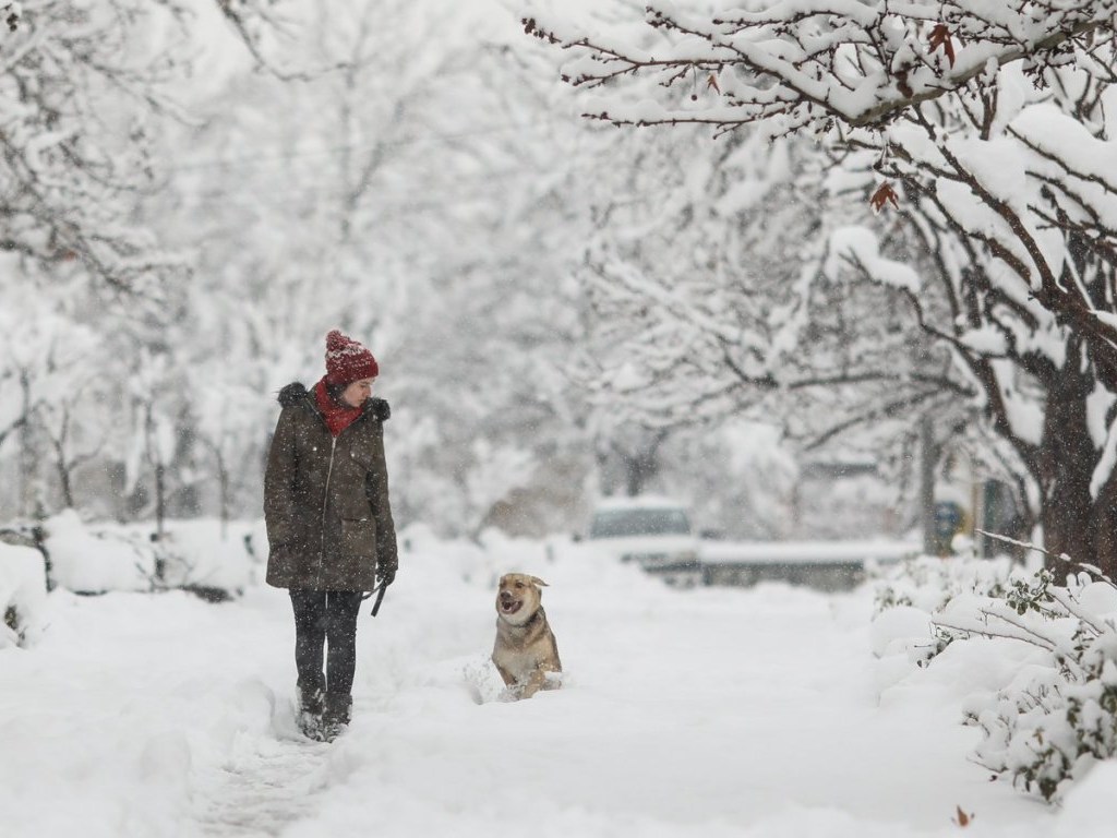 Спасатели предупредили украинцев о приближении мощных снегопадов
