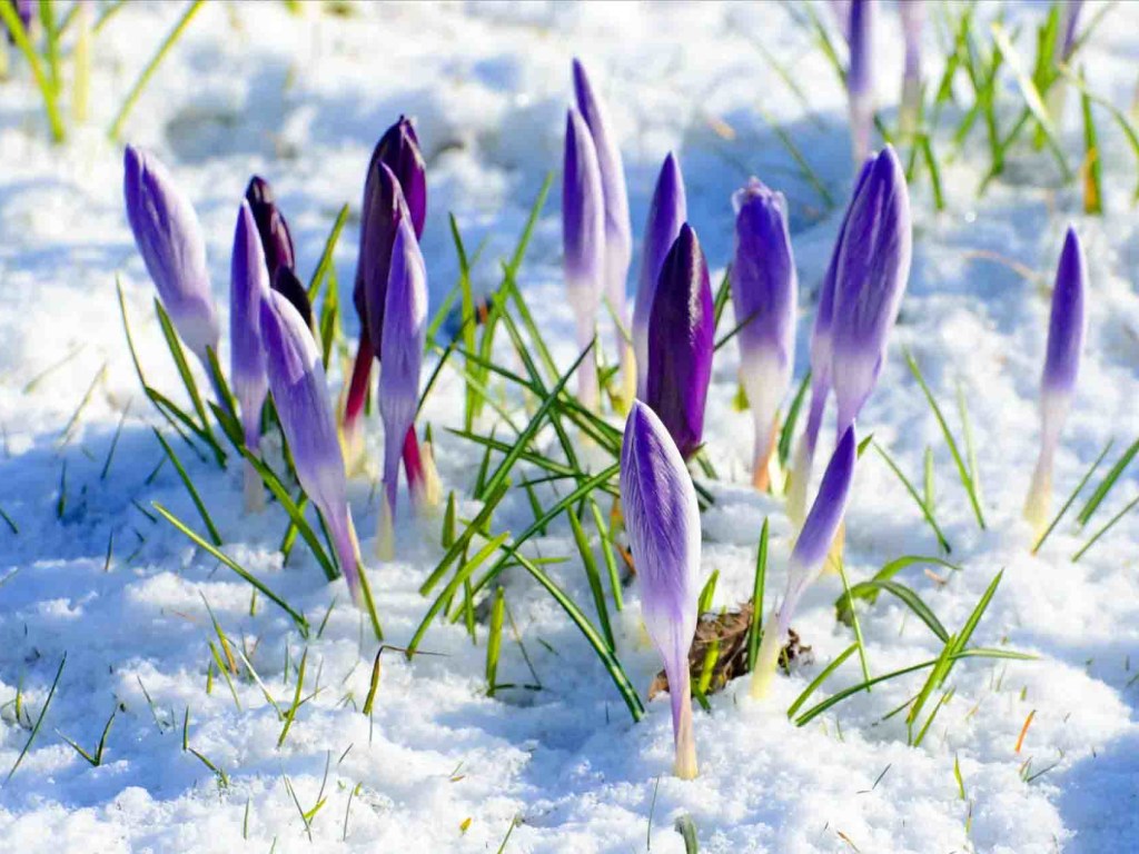 Зима закончилась: На выходных в Украину придет весна