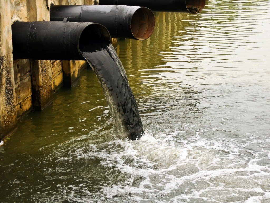 Вредных веществ в наших реках так много, что природная вода не может очищаться самостоятельно – эколог