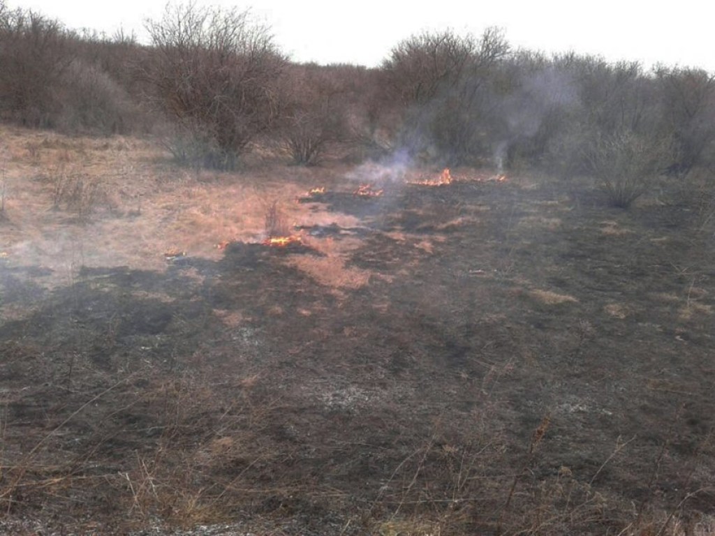 В Николаевской области загорелась трава: пожар охватил площадь 1,2 гектара (ФОТО)