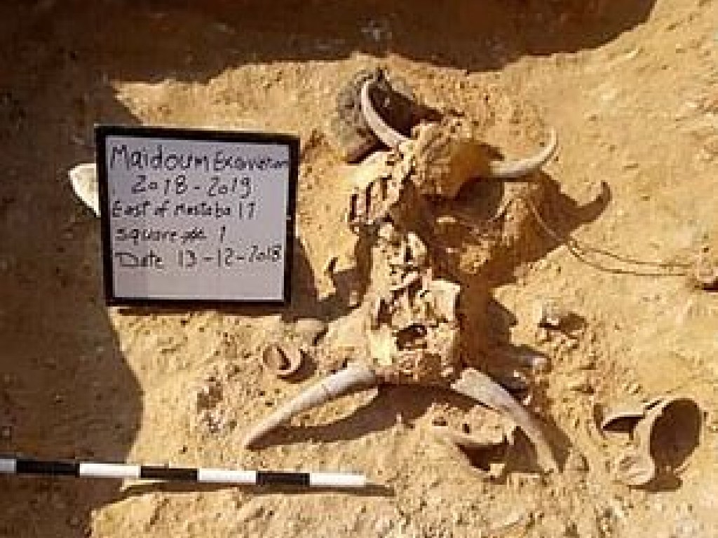 В египетской пирамиде археологи нашли скелет девочки, возрастом 4600 лет (ФОТО)