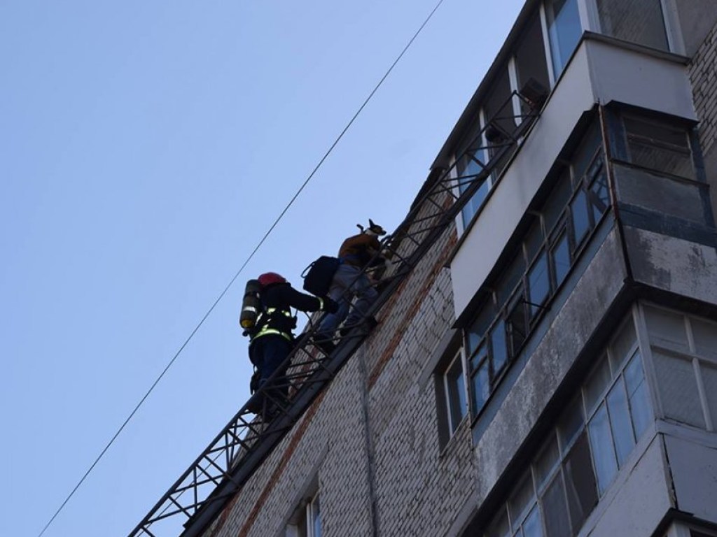 Храбрый парень спас четырехлапого друга из огня в Николаеве (ФОТО, ВИДЕО)