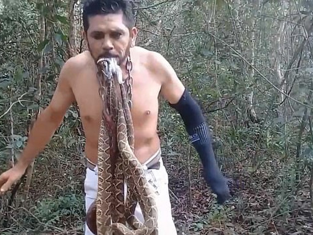 В Бразилии зоозащитник показал опасный трюк с ядовитыми змеями (ФОТО, ВИДЕО)