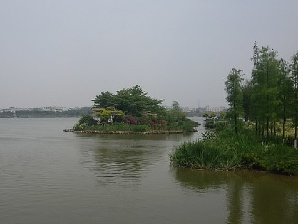 Жители Гуанчжоу запаниковали, увидев странное существо в озере (ФОТО)