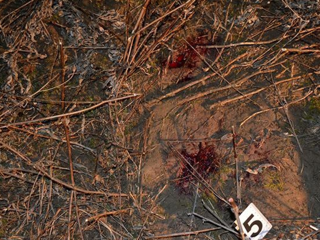 Ревнивый житель Тернопольщины вывел жену в поле и ударил 20 раз ножом (ФОТО)   