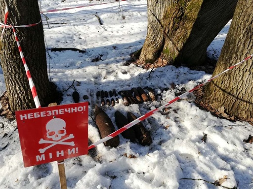 Под Киевом обнаружили и обезвредили 27 боеприпасов (ФОТО)