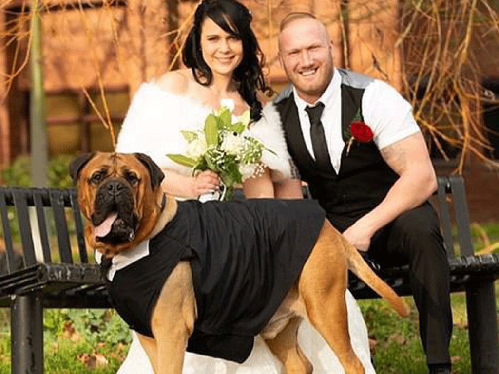 Британская пара перенесла свадьбу из-за страшного недуга пса (ФОТО)