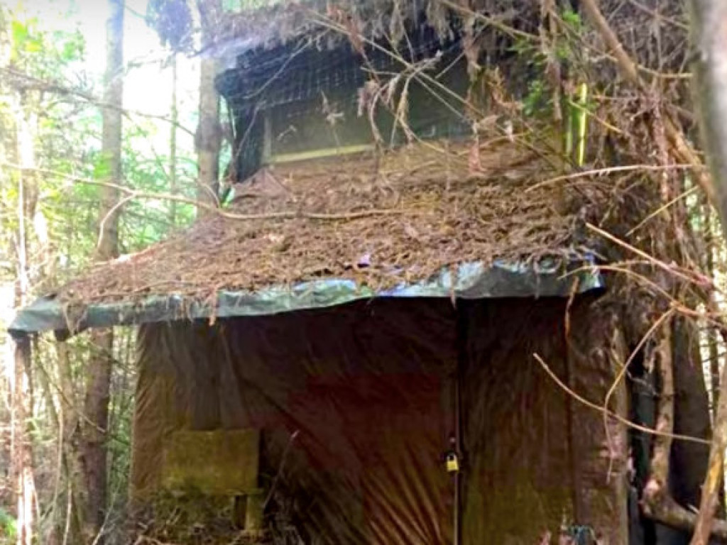 Американский рейнджер обнаружил загадочный дом посреди леса (ФОТО, ВИДЕО)