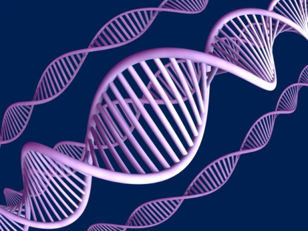 В США ученые создали синтетическую ДНК