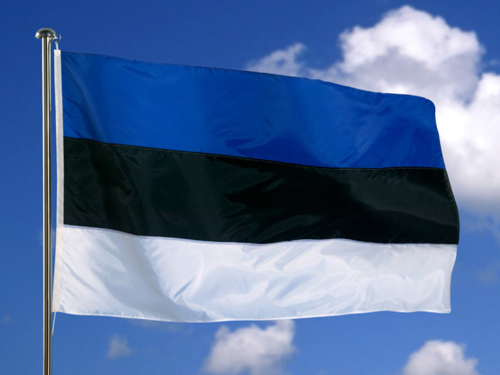 В Эстонии уволили пограничника с российским гражданством