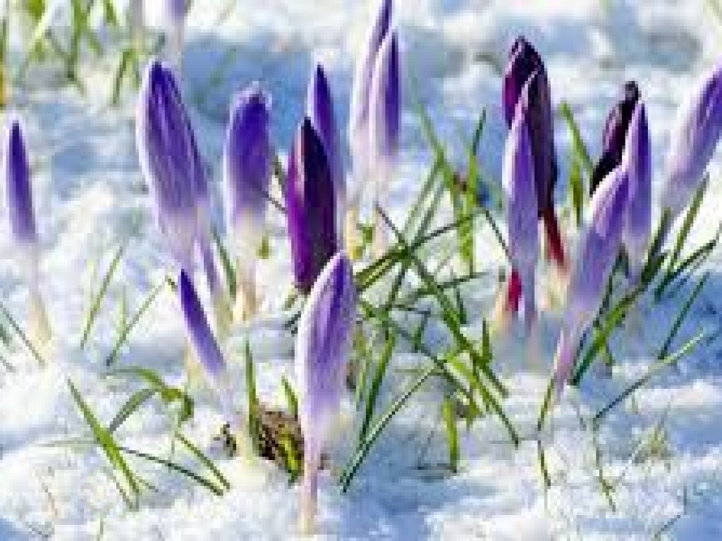 Синоптик: Весна в Украине стартует порывистым ветром, 1 марта будет прохладно и сыро (КАРТА)