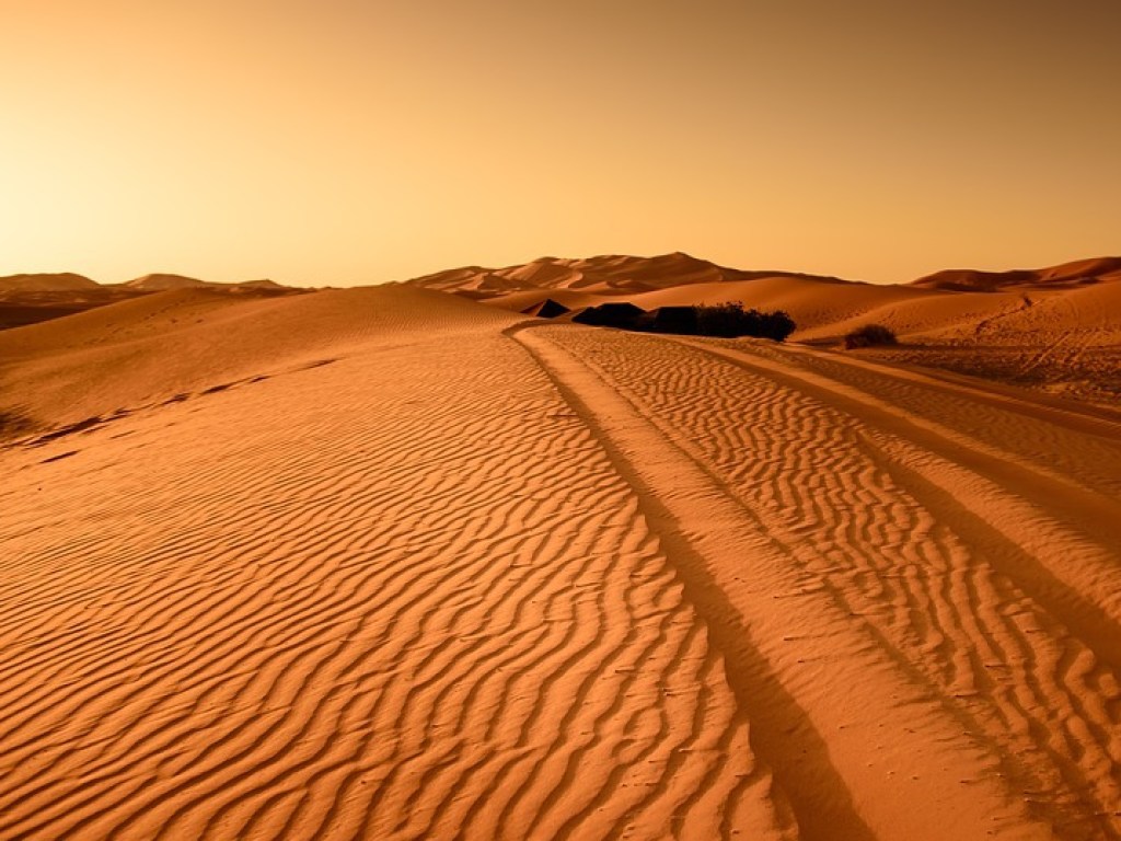 Марсианские бактерии в самой засушливой пустыне Земли шокировали ученых