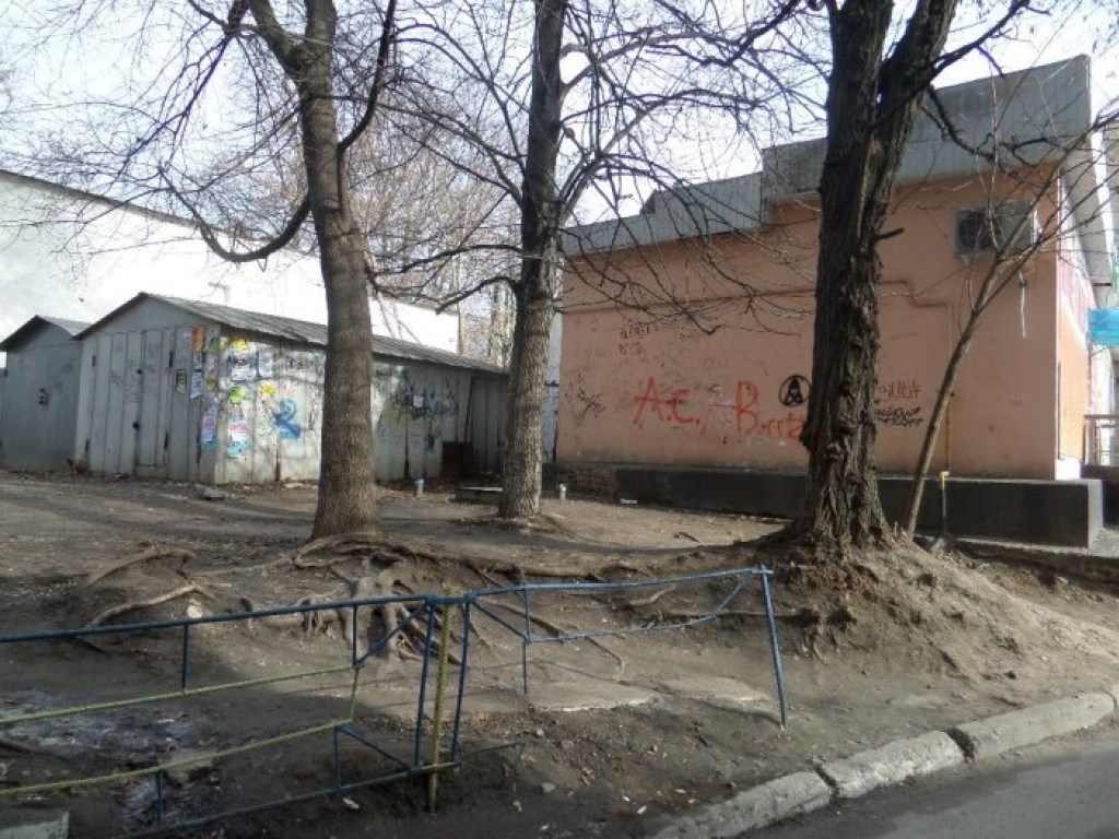 В киевской области толпа подростков зверски избила парня (ФОТО)