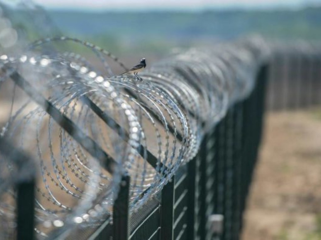 Поток нелегальных мигрантов в Украину может сдержать только стена на востоке &#8212; политолог
