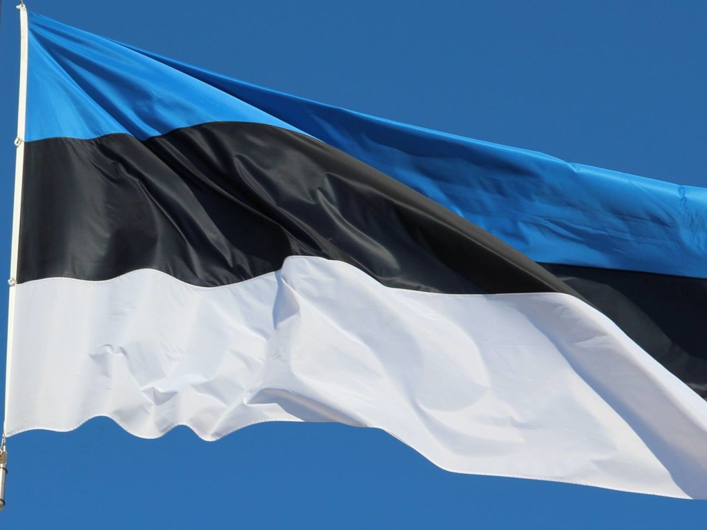 В Эстонии проходят выборы в парламент