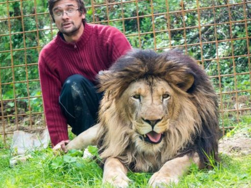 В Чехии домашний лев загрыз 33-летнего хозяина: полиция застрелила хищника