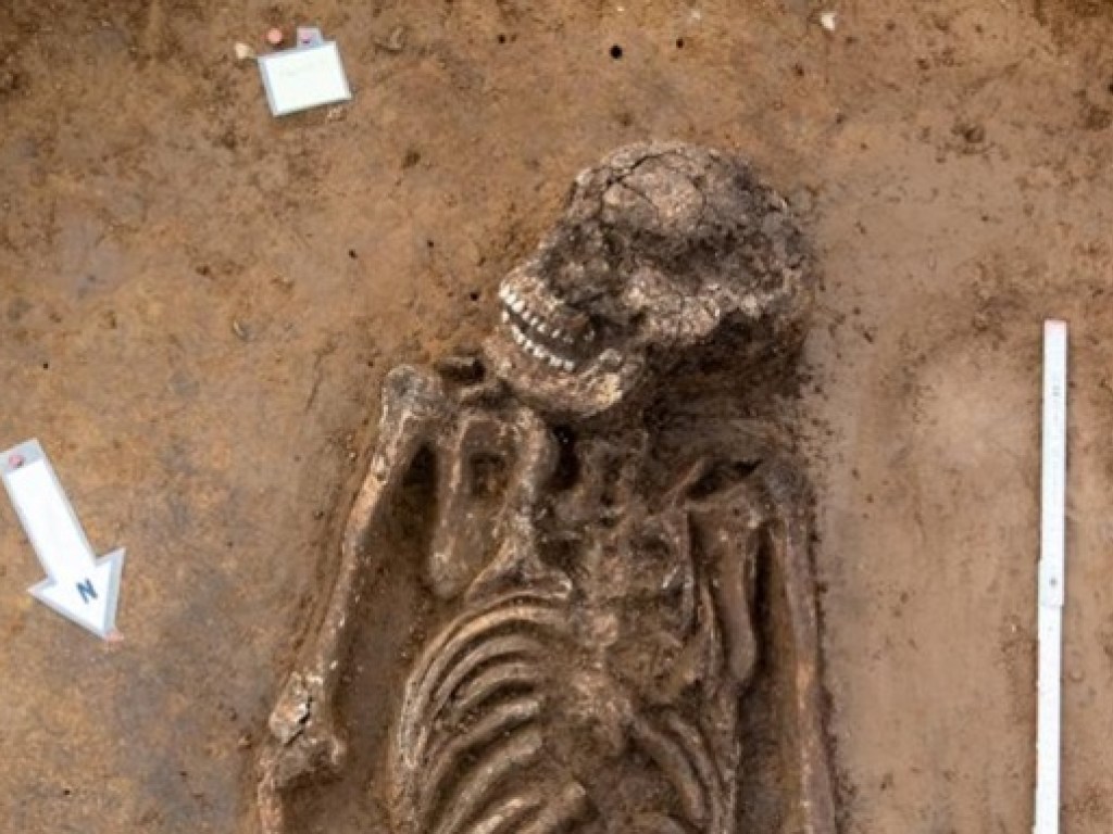 В Германии обнаружили скелет человека 6500-летнего возраста (ФОТО)