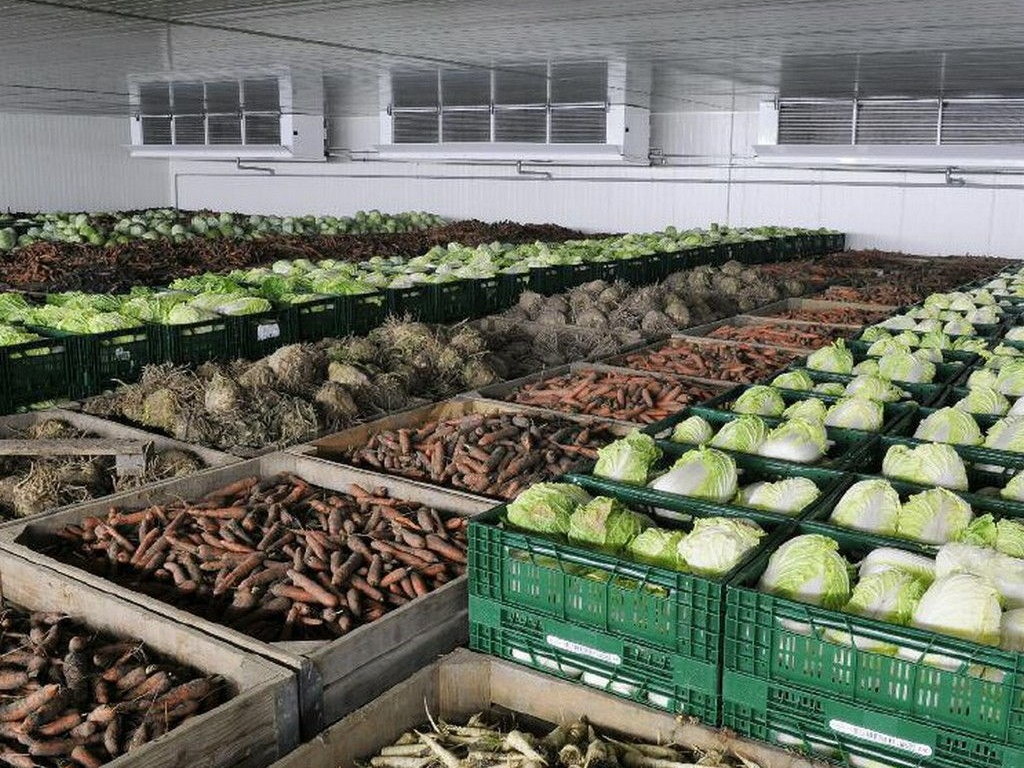 Достаточное количество хранилищ позволит снизить цены на овощи &#8212; нардеп