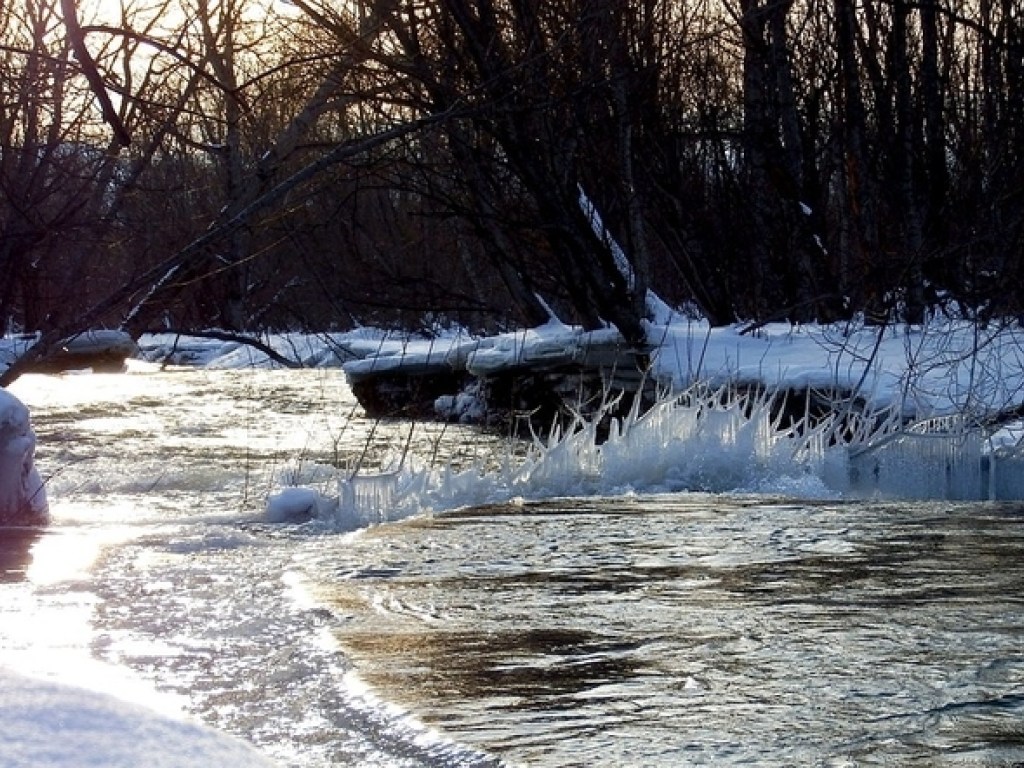 Стало известно, в каких реках Закарпатья ожидается подъем уровня воды