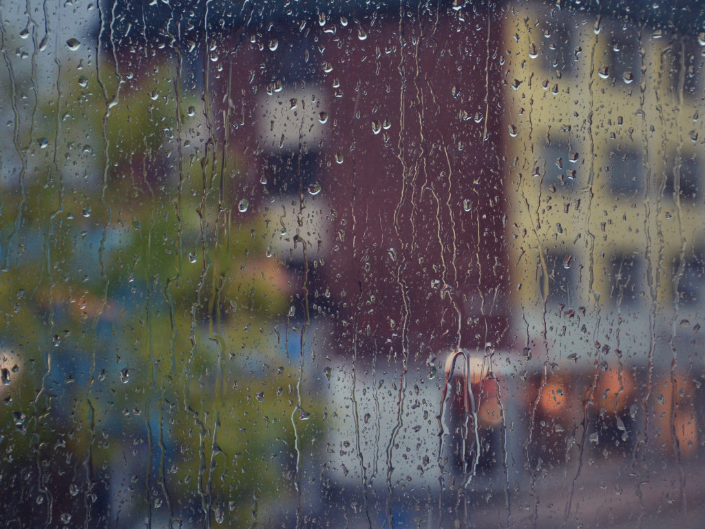 Синоптик: В понедельник почти всю Украину накроют дожди