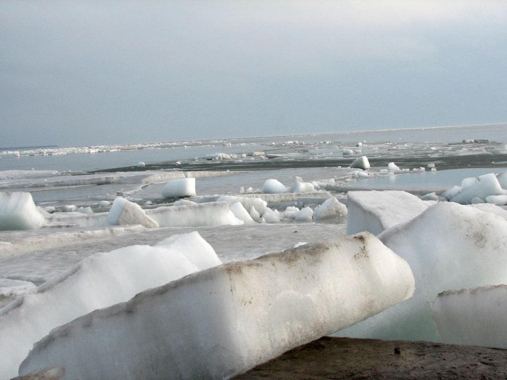 Десятки американских рыбаков эвакуировали с отколовшейся льдины (ВИДЕО)