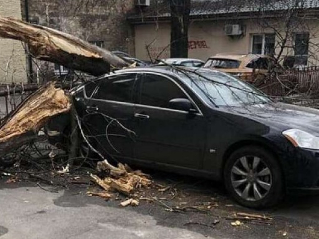 В Сети появились фото и видео последствий шквального ветра в Киеве