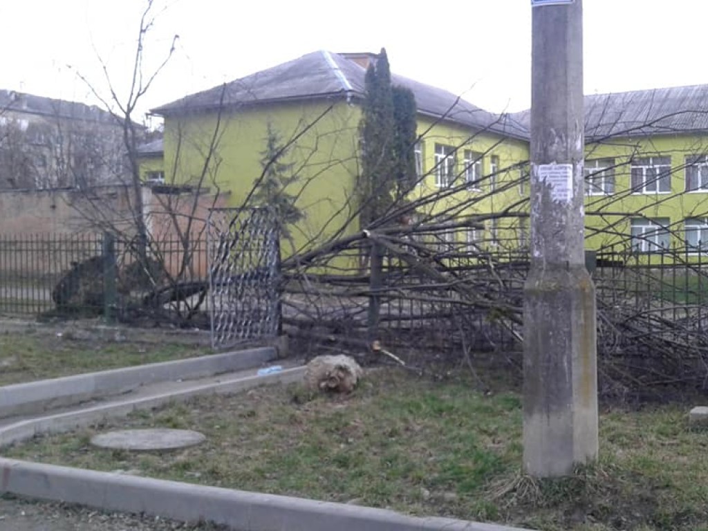 На Прикарпатье шквальный ветер наделал бед: повреждены крыши и повалены деревья (ФОТО)
