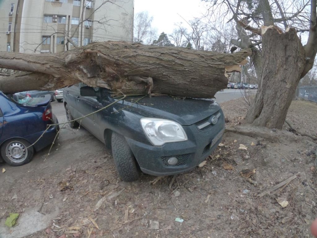Сломанное из-за урагана дерево повредило два автомобиля в Киеве и обесточило район (ФОТО, ВИДЕО)