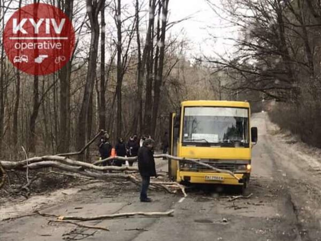 Штормовой ветер остановил трамваи и троллейбусы в Киеве (ФОТО)
