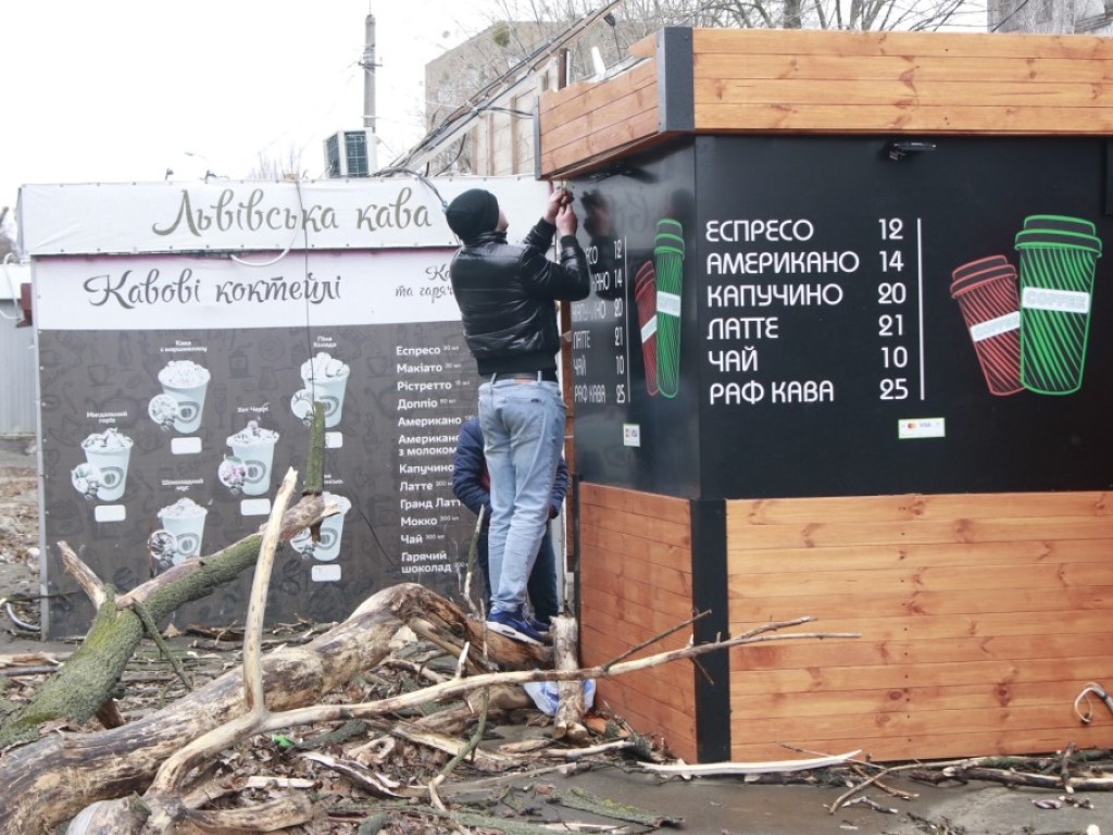 В центре Киева на парня упало дерево: десятки тополей могут рухнуть в любую минуту (ФОТО, ВИДЕО)