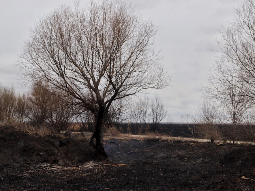 В Одесской области ликвидировали масштабный пожар в национальном парке (ФОТО, ВИДЕО)