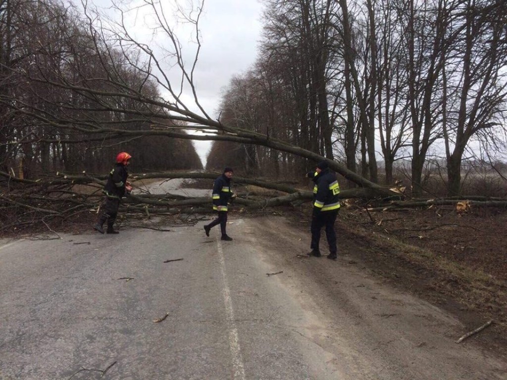 В Украине из-за непогоды за сутки погибло два человека, трое пострадали (ФОТО)