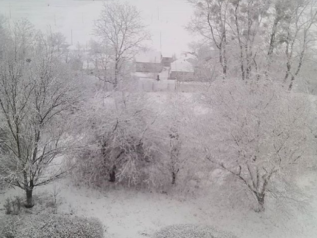 Циклон Эберхард отметился в нескольких областях: часть Украины засыпало снегом (ФОТО, ВИДЕО)