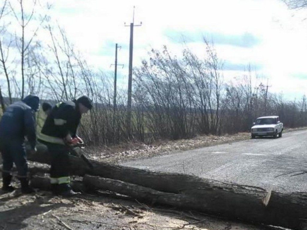 Волна шквального ветра докатилась до Черкасской области: сорвало крышу филармонии и повалило деревья (ФОТО)
