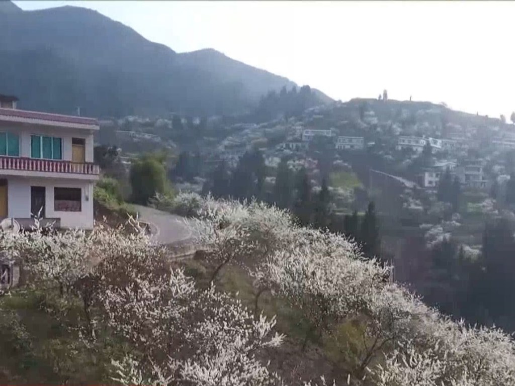 Красоту китайской весны запечатлел дрон (ВИДЕО)