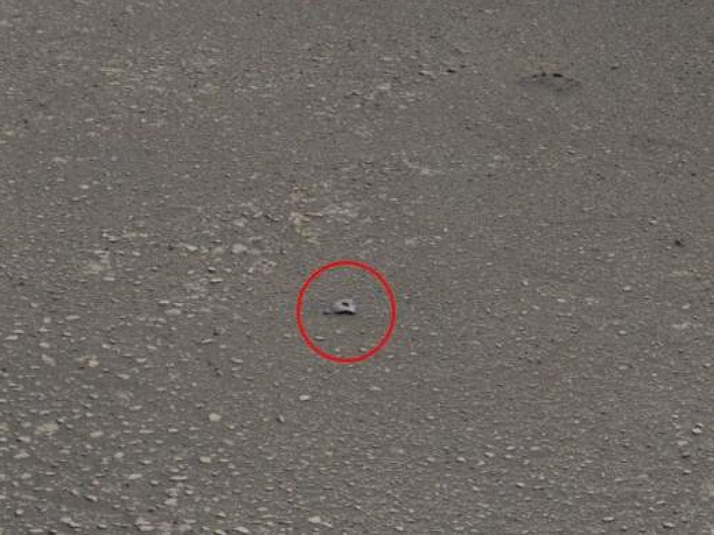 На снимке с Марса обнаружили загадочный аномальный объект (ФОТО)