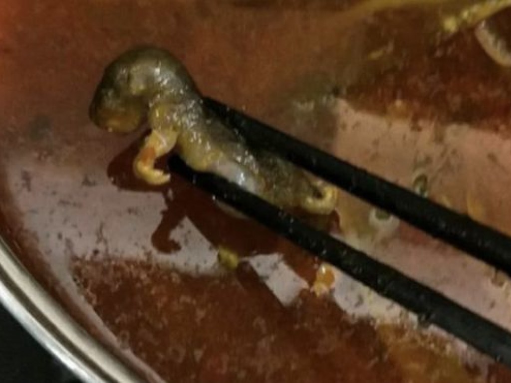 Беременная женщина ела суп и обнаружила в нем мертвую крысу (ФОТО)
