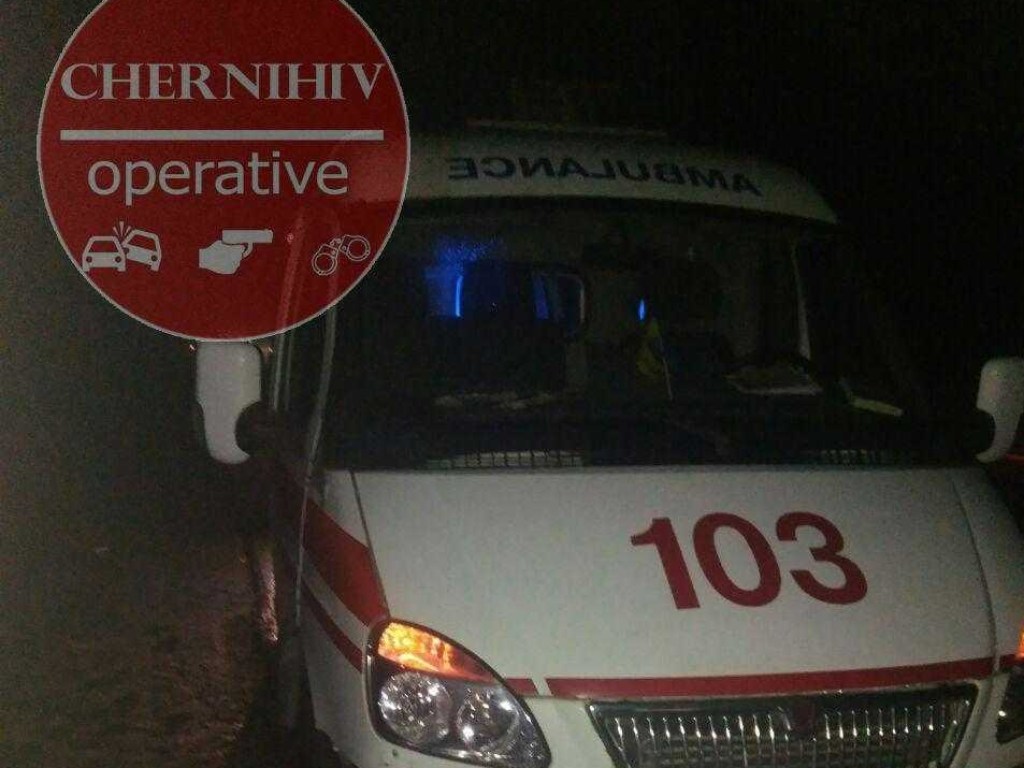 В Черниговской области произошло ДТП с участием трех машин и лося (ФОТО)