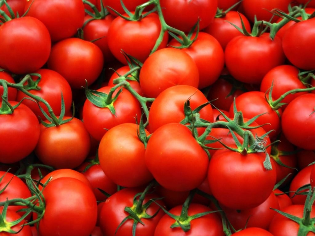 Эксперт об импортных помидорах с молью: на украинской границе не проверяют качество всего товара