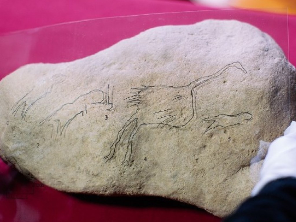 В Испании обнаружили наскальный рисунок, которому 12 тысяч лет