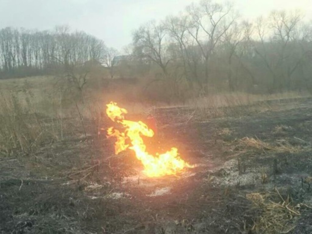 В Тернопольской области загорелся газопровод