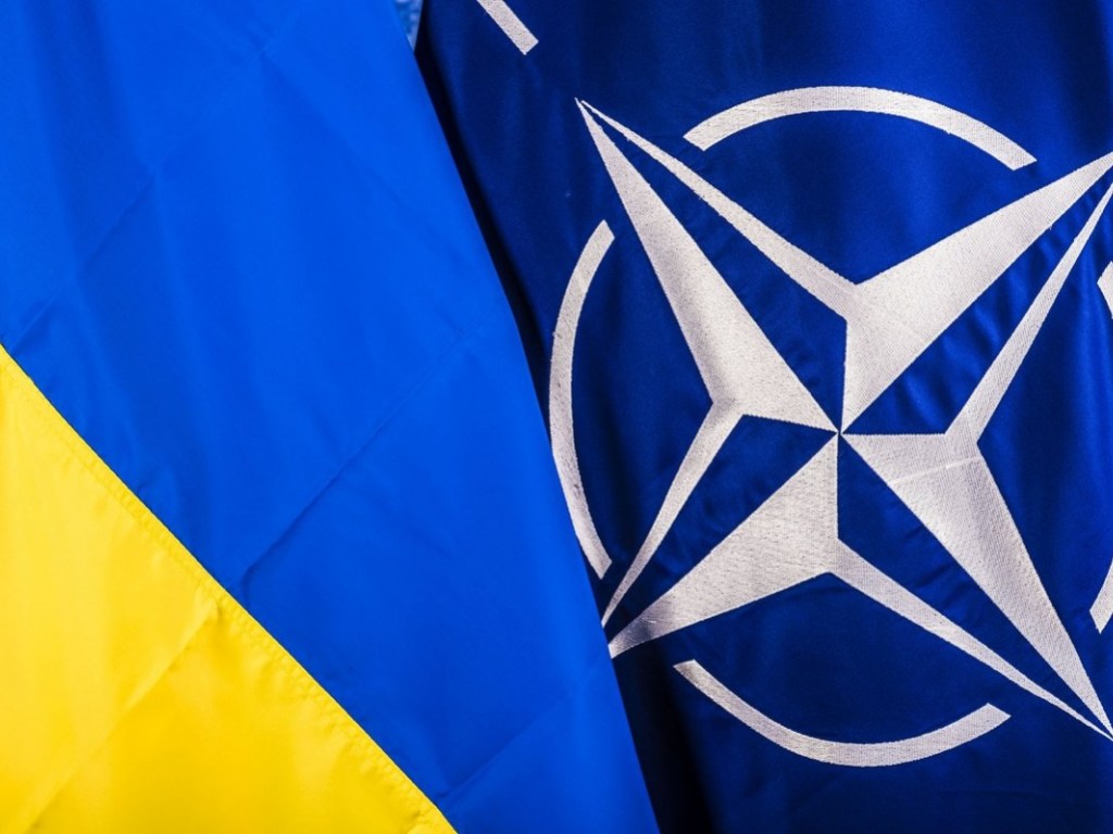 План вступления в НАТО расписан по дням &#8212; Порошенко