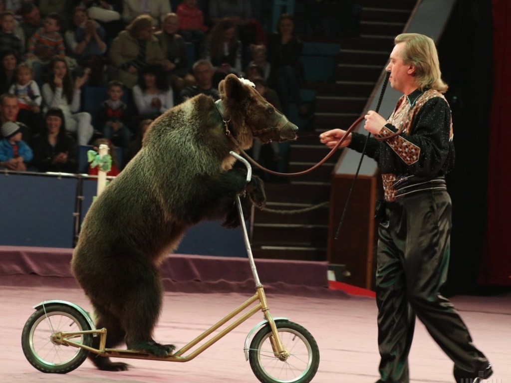 В Киеве окончательно запретили работу цирков с животными