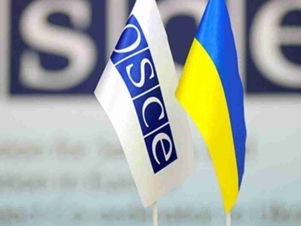 ЦИК не допустит российских наблюдателей на выборы по просьбе ОБСЕ – политолог