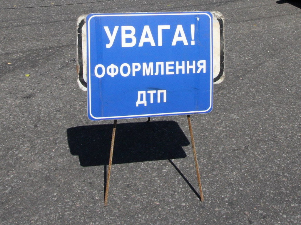 Перебегали через дорогу: на трассе Киев-Чоп водитель легковушки задавил двух кабанов (ФОТО)